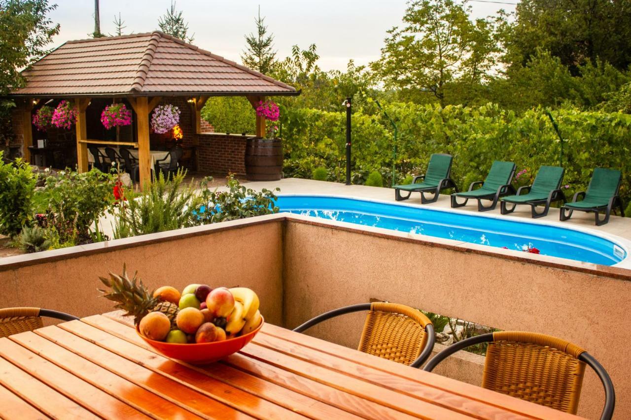 Katarina With Pool * Banja Luka